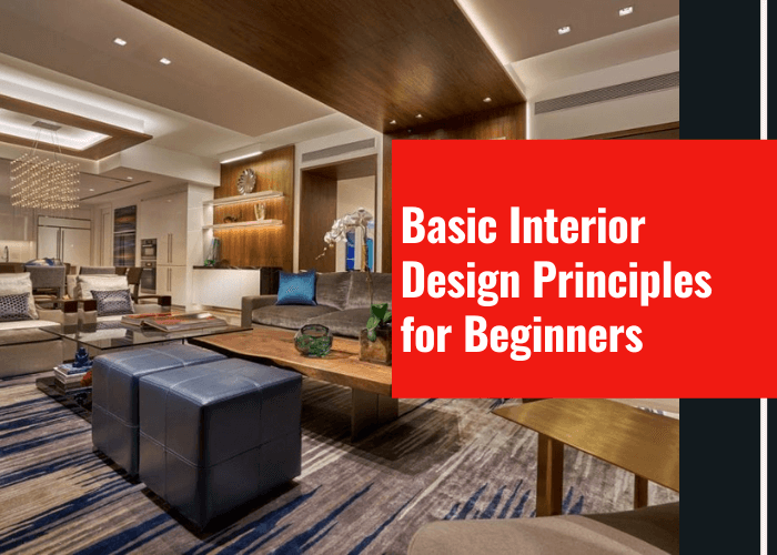 Basic Interior Design Principles for Beginners