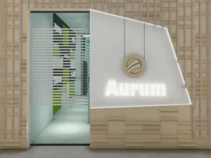 Office Interior Design in Magarpatta, Pune β Engineering Backend Support Office