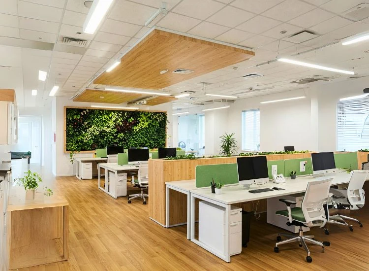 Green Interior Design in Office Spaces Green office interior design promoting sustainability and efficiency, incorporating eco-friendly elements into small office interior design with mindful interior design in office.
