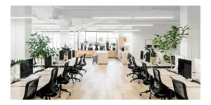 Small Commercial Office Space Design Ideas