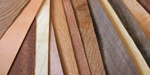 Veneer versus Laminate : Which is Better