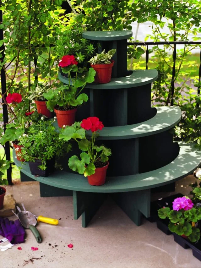 Folding Plant Stand