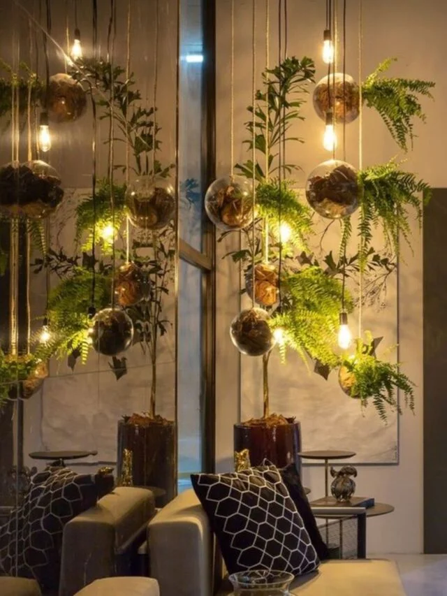 Indoor Plant Hanging Gardens