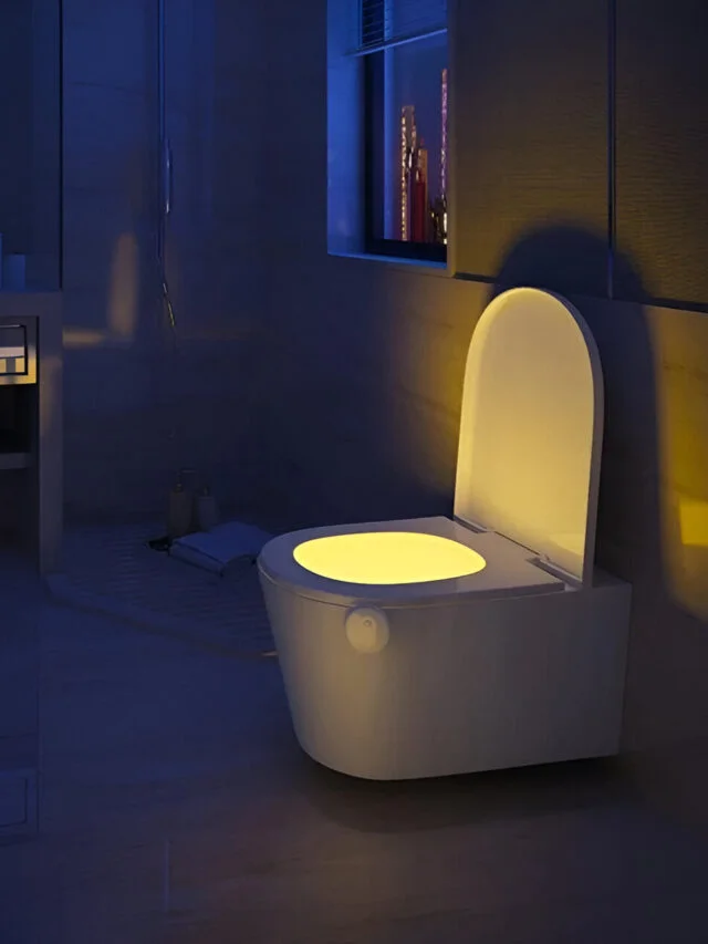 Toilet Night Light