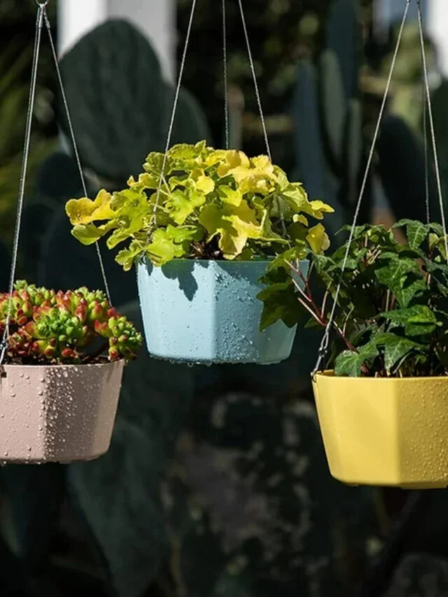 Hanging Planters