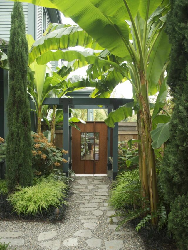 Banana Leaf Pergola Landscaping Ideas