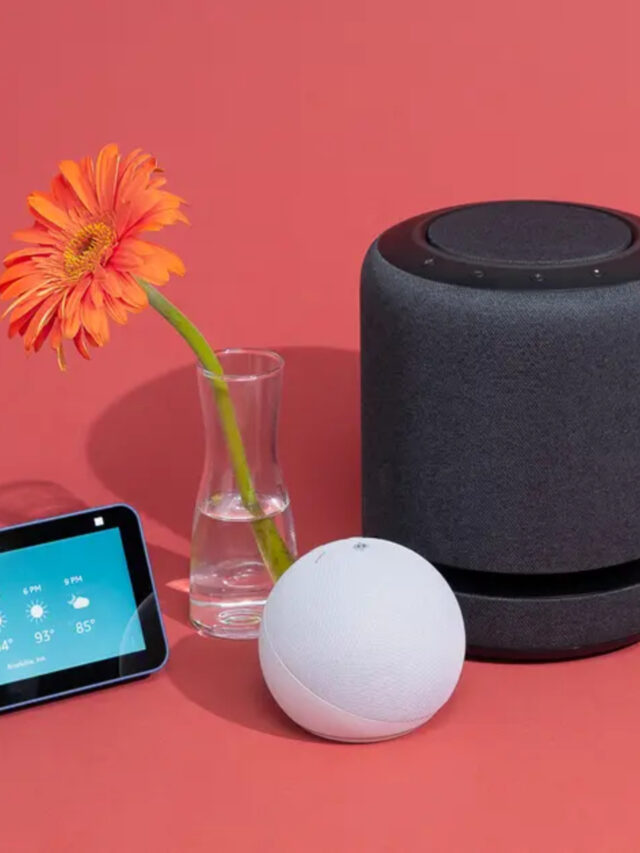 Diverse Types of Smart Speakers