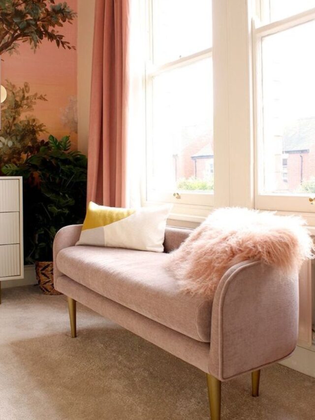 Natural Light Embrace Small Bedroom Couch