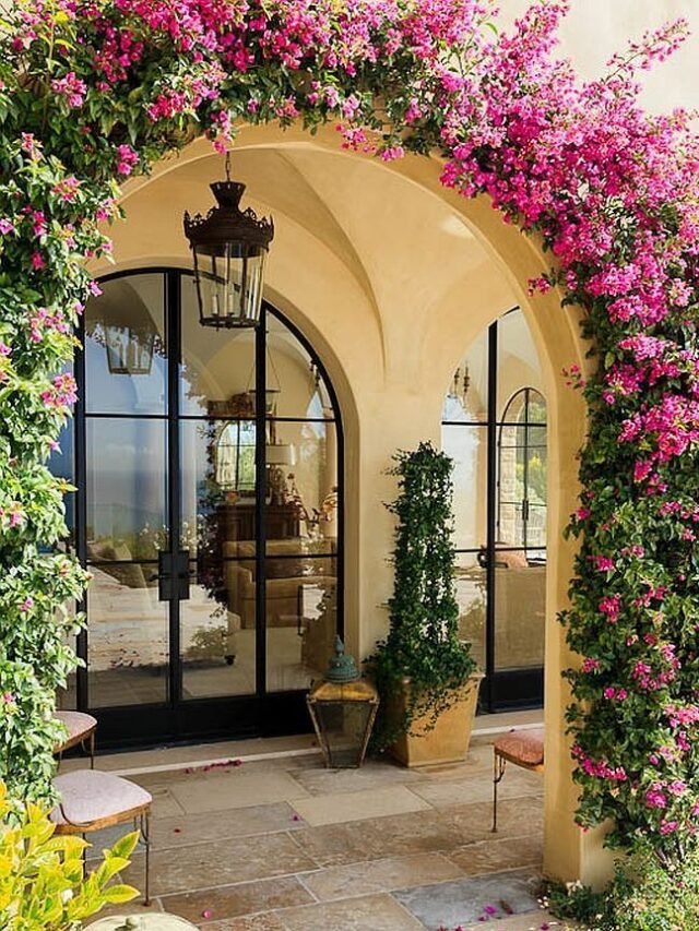 Unveiling the Beauty of Mediterranean Front Yard