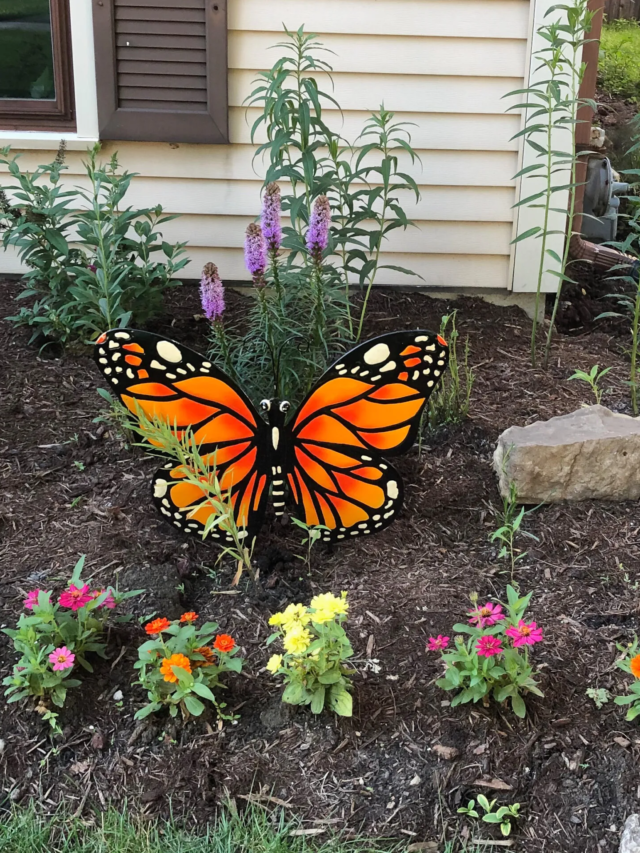 Butterfly Gardens for DIY Garden Ideas