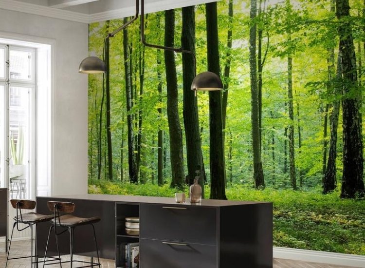 living room wallpaper featuring forest scenes