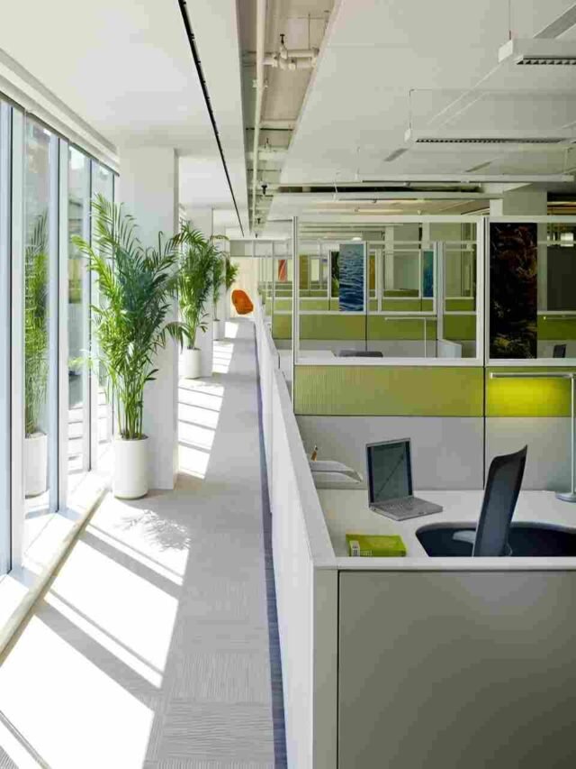 Eco-friendly Office Design Sustainable Furniture