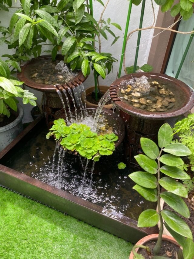 Water Features for Water Plants