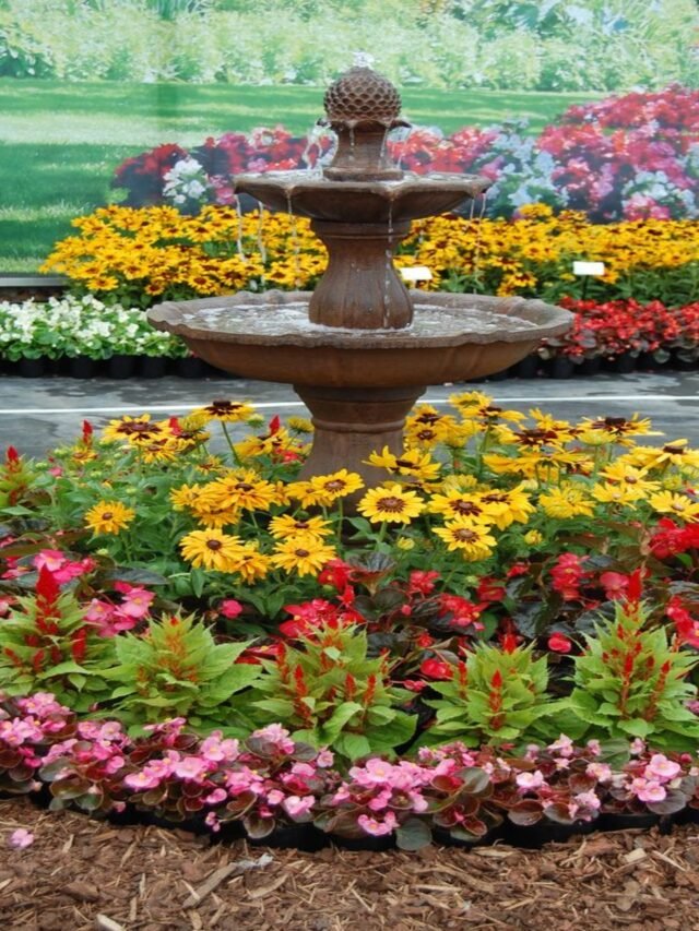 Water Feature Flowers Beds