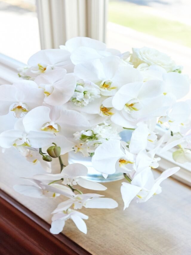 Orchid Flower Arrangements