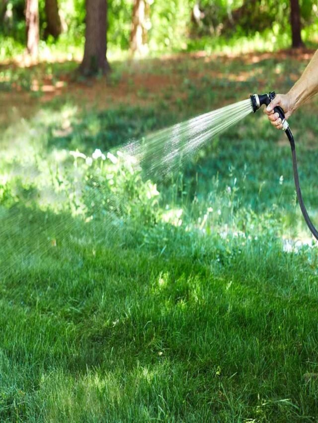 Watering After Application