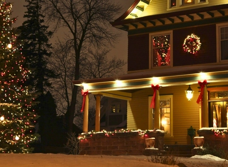 "Motion-activated lights for porch decor, adding a dynamic holiday touch. Christmas tree picture included."