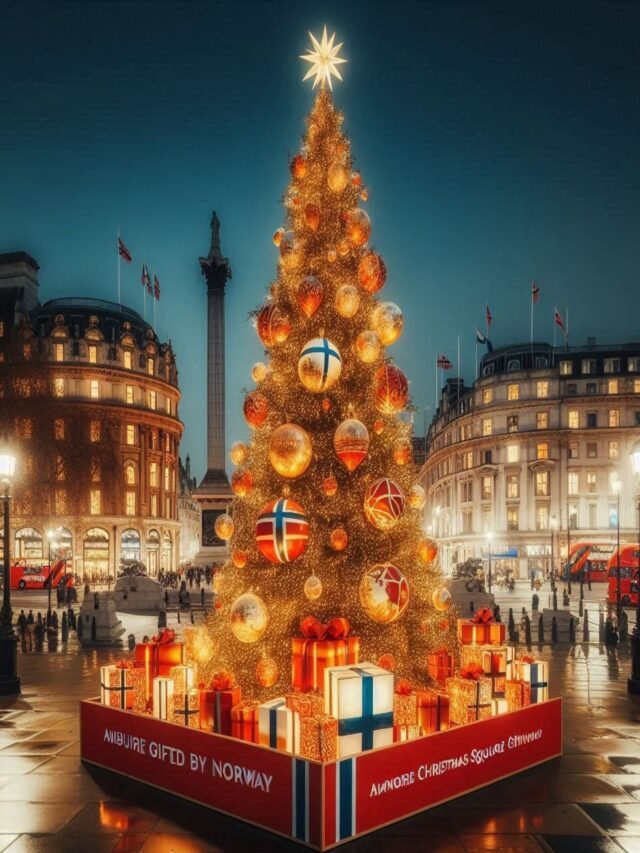 Trafalgar Square Christmas Tree Decorations London