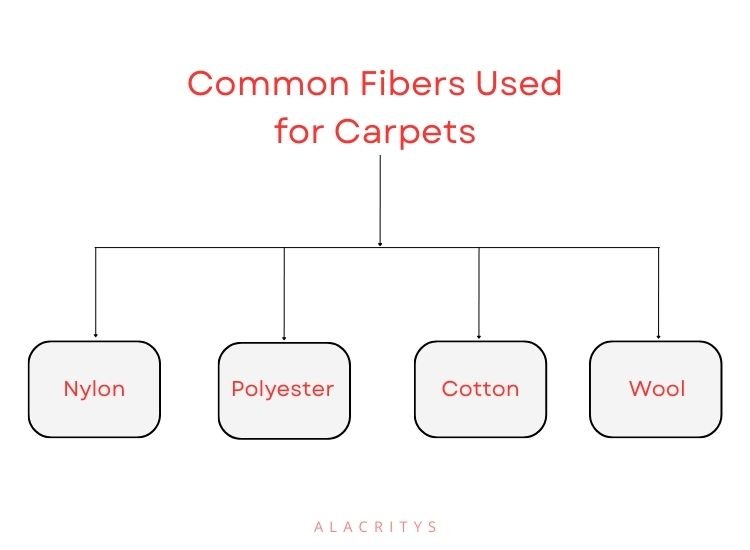 Some of the common fibers used for carpets are nylon, polyester, cotton, and wool