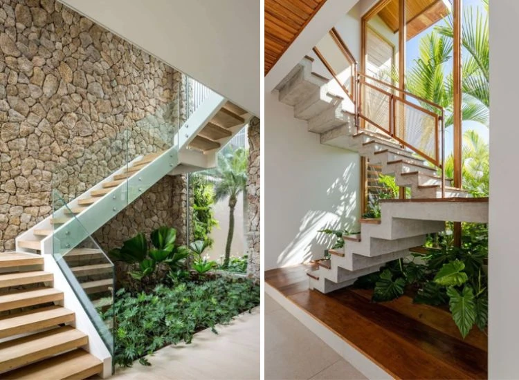35. Plants below the staircase 35. Plants below the staircase