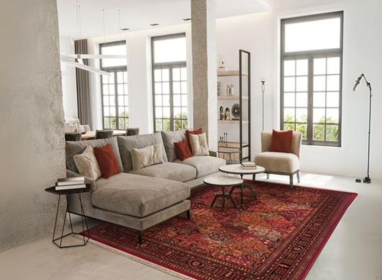 5. Red Rug contrasting the room interior