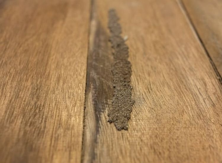 A wooden plank of hardwood flooring with a small patch of dirt on its surface