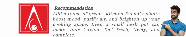 Modular Kitchen Tips by Alacritys No 20 Modular kitchen tips