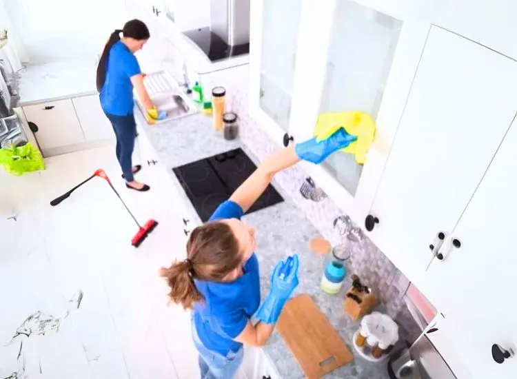 Tips And Maitenance For Kitchen Cleaning Tips for easy cleaning and maintenance of modular kitchen design with built-in units for a sleek, durable kitchen.