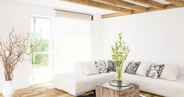 Budget-Friendly Interior Design